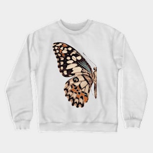 Butterfly Crewneck Sweatshirt